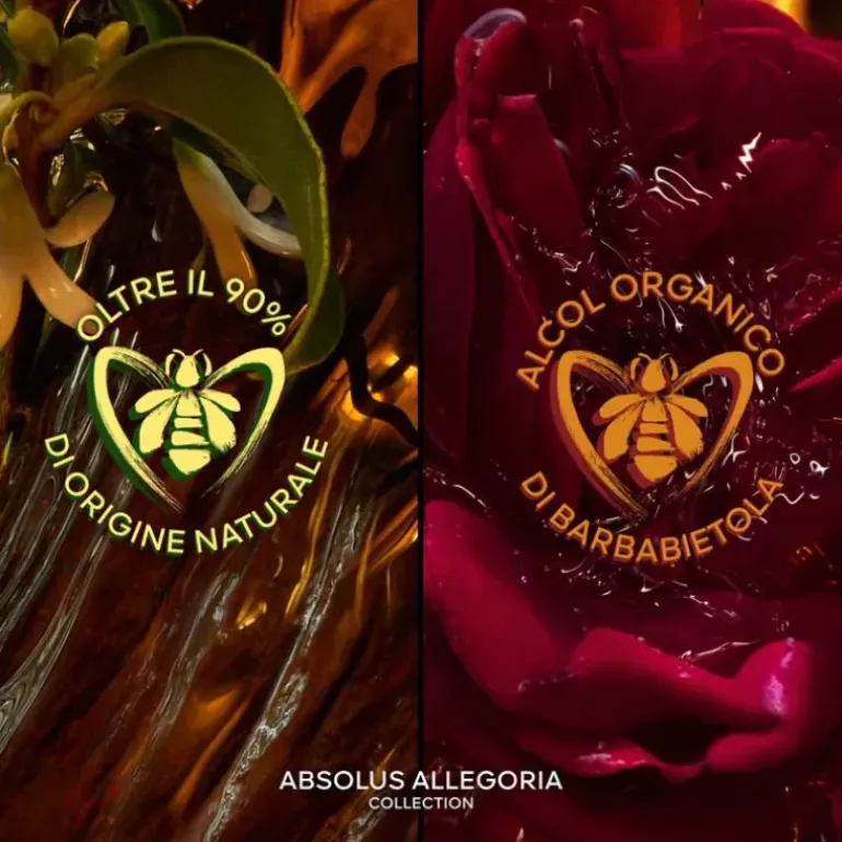 Absolus Allegoria Epices Exquises
