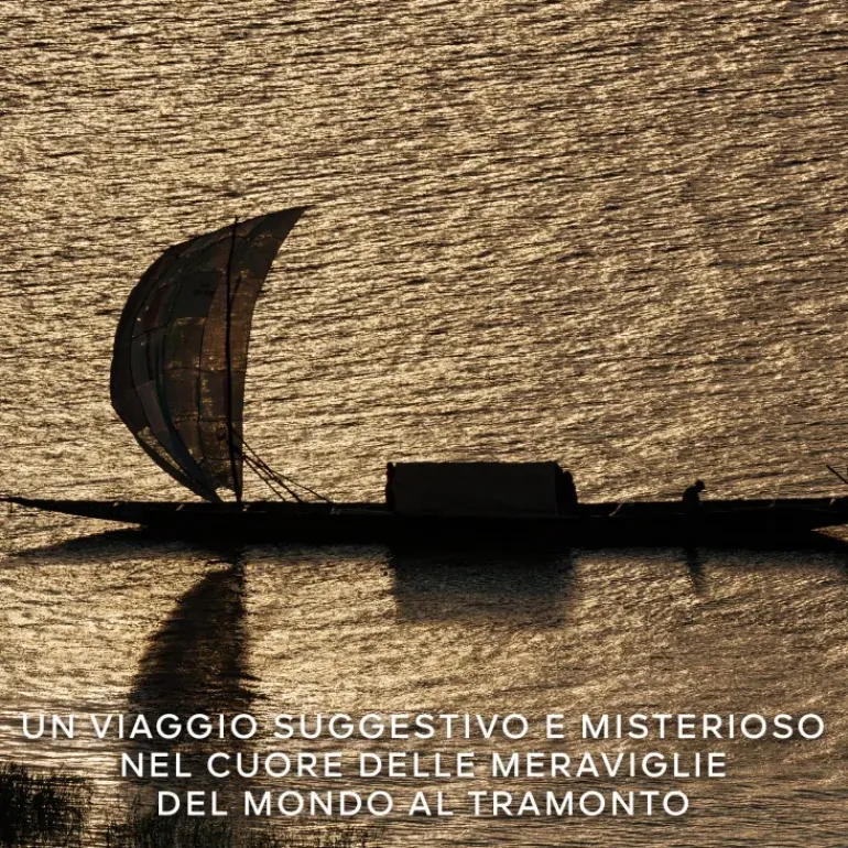Absolus Allegoria Rose Amira
