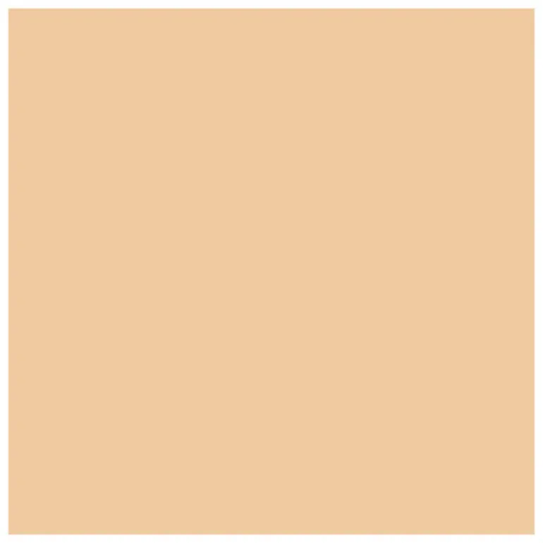 Anti-Blemish Clearing Concealer - Correttore Trattante delle Eruzioni