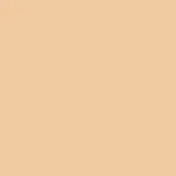 Anti-Blemish Clearing Concealer - Correttore Trattante delle Eruzioni