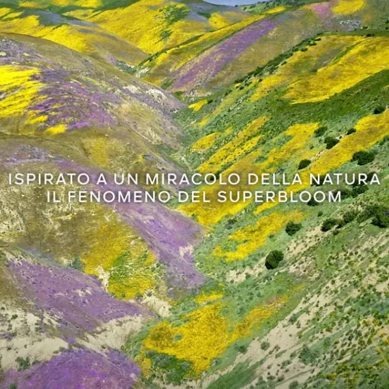 Aqua Allegoria Florabloom Forte