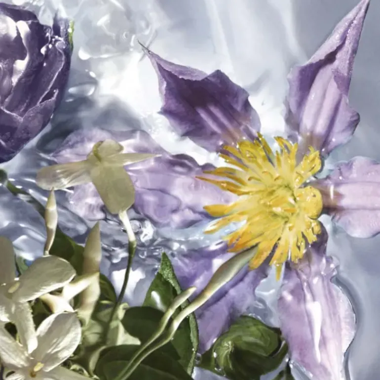 Aqua Allegoria Flora Salvaggia