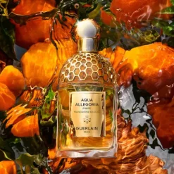 Aqua Allegoria Mandarine Basilic Forte
