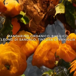 Aqua Allegoria Mandarine Basilic Forte