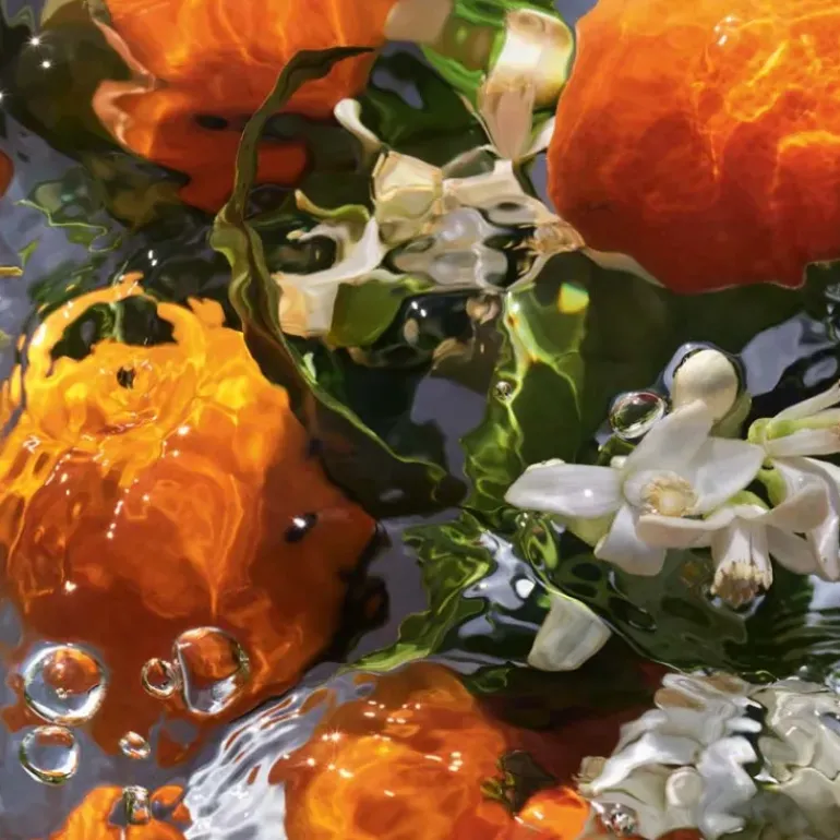 Aqua Allegoria Orange Soleila