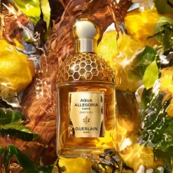 Aqua Allegoria Oud Yuzu Forte