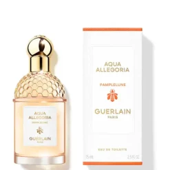 Aqua Allegoria Pamplelune