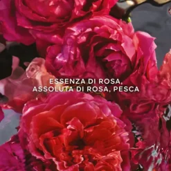 Aqua Allegoria Rosa Rossa Forte