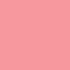 Blushing Blush Powder - Blush in Polvere