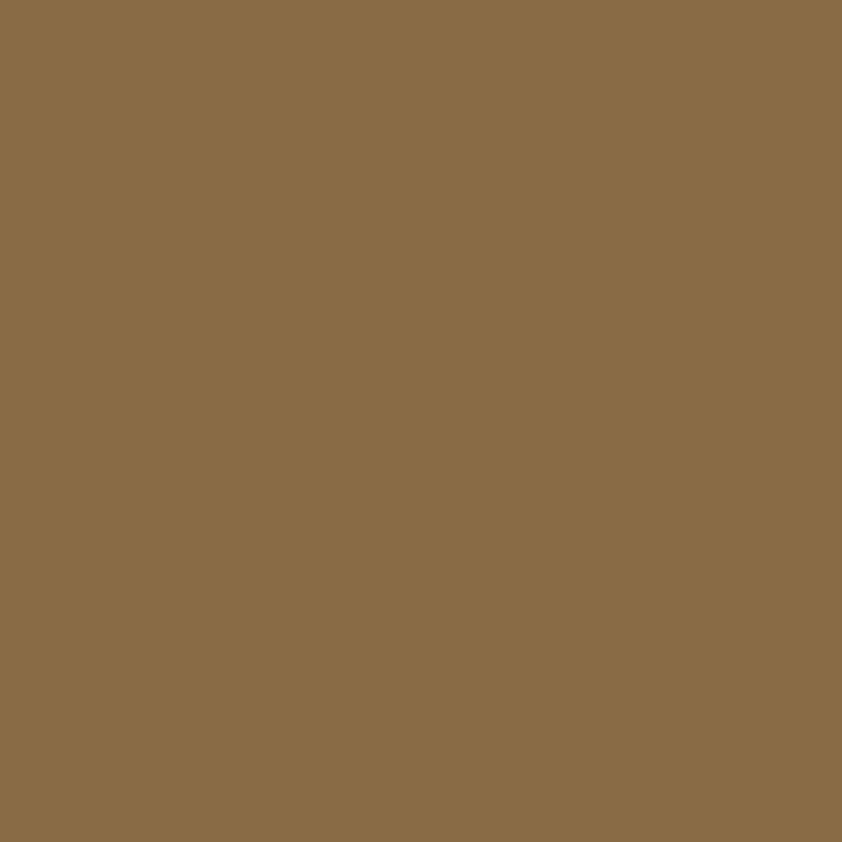 Brow Shaping Powdery Pencil - Matita Sopracciglia definite