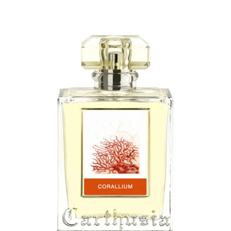 Corallium
