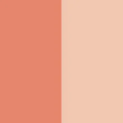 Dior Forever Rouge Blush Colour & Glow