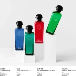 Eau de basilic pourpre Eau de cologne 100 ML
