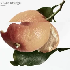 Eau des Merveilles EDT