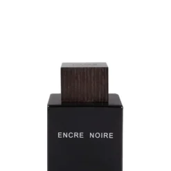 Encre Noire 100 ML