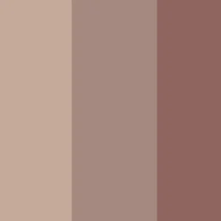 Essential Eye Shadow Trios