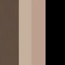 Eyebrow Professional Kit