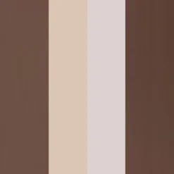 Eyebrow Professional Kit