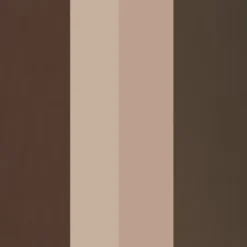 Eyebrow Professional Kit