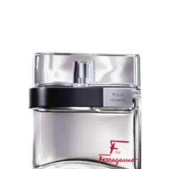 F by Ferragamo Homme 100 ML
