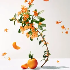 Fleur D'Osmanthus 200 ML