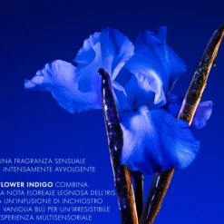 Flower by kenzo Ikebana Indigo