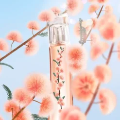 Flower by Kenzo Ikebana Mimosa