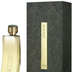 Galaor