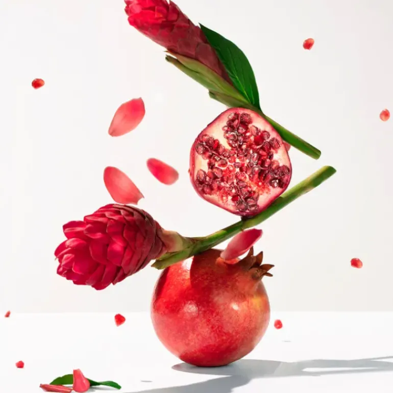 Gingembre Rouge