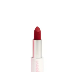 Goovi Rossetto Matte - Velvet Dream
