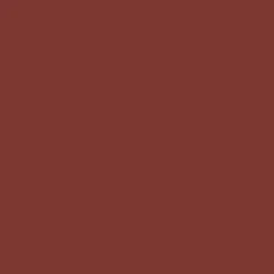 L'Absolu Rouge Intimatte