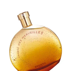 L'Ambre des Merveilles