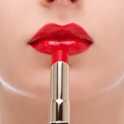 Lasting Plump Lipstick REFILL
