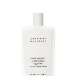 L'Eau D'Issey Pour Homme 100 ML