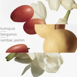 Le Jardin De Monsieur Li