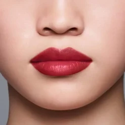 LipLiner InkDuo