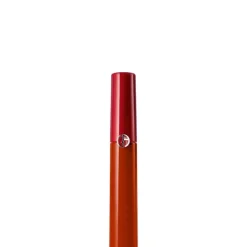 Lip Maestro