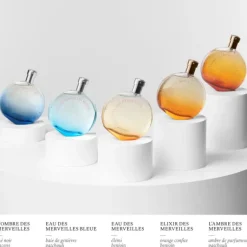 L'Ombre des Merveilles