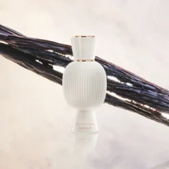 Magnifying Vanilla 40 ML