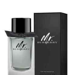Mr Burberry EDT