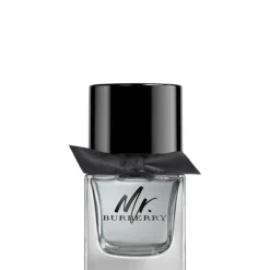 Mr Burberry EDT