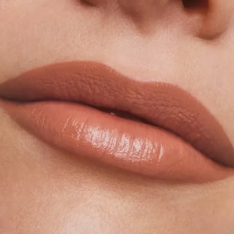 Pure Color Lipstick