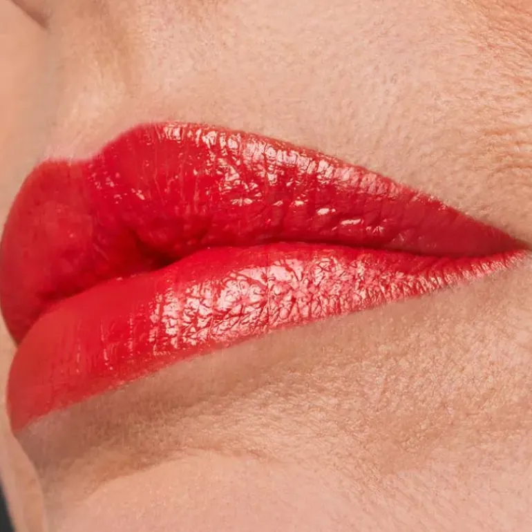 Pure Color Lipstick