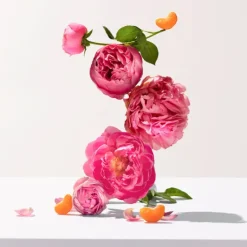 Rose 200 ML