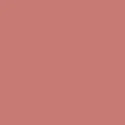 Rouge Pur Couture The Slim Velvet Radical