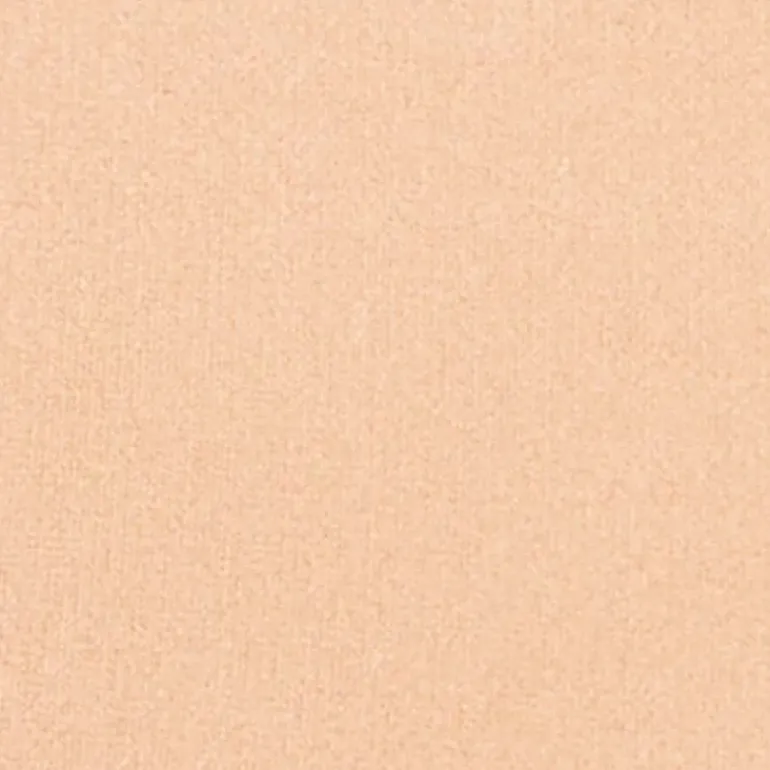 Silk feel Wet & dry Powder Foundation - Fondotinta Compatto in Polvere