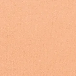 Silk feel Wet & dry Powder Foundation - Fondotinta Compatto in Polvere