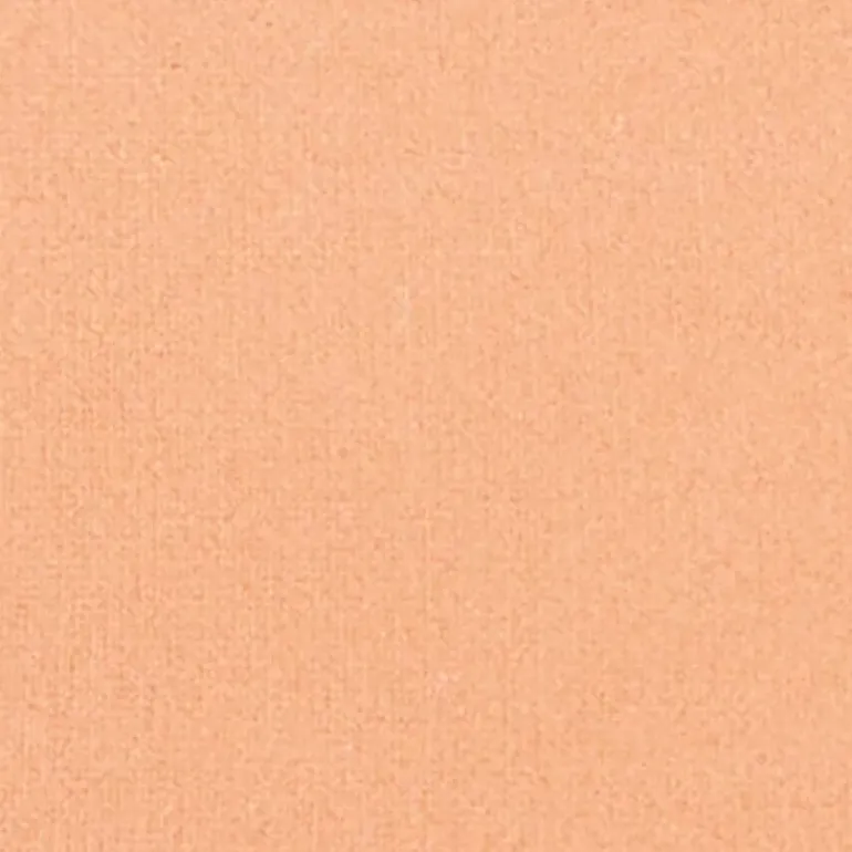 Silk feel Wet & dry Powder Foundation - Fondotinta Compatto in Polvere