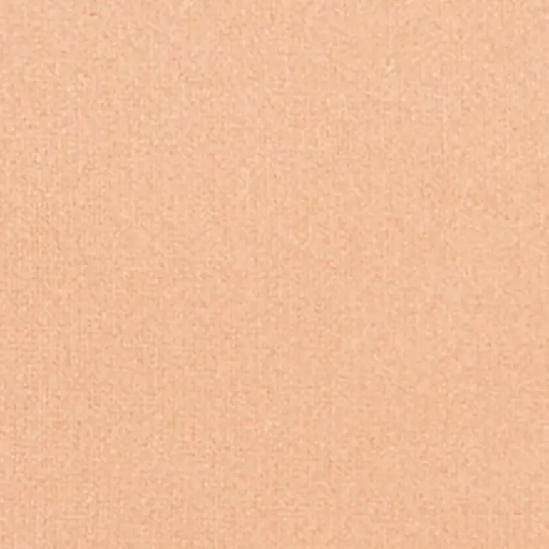 Silk feel Wet & dry Powder Foundation - Fondotinta Compatto in Polvere