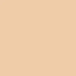 Skin Concealer Stick